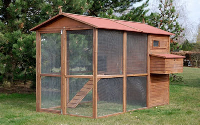 GRAND POULAILLER 8/12 POULES EN BOIS 